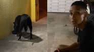 Reprodução/TikTok @anagabyii