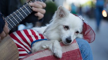 Foto Ilustrativa/Pexels