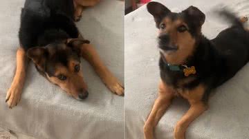 Reprodução/TikTok @flormanhaes