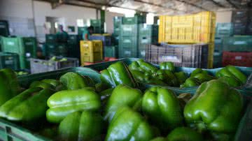 Arquivo/ Agência Brasil