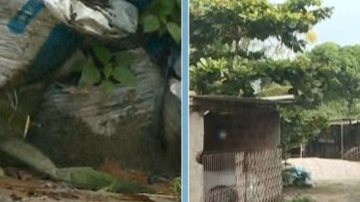 Reprodução Record TV