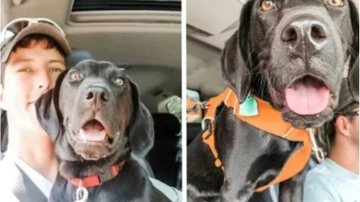 Divulgação Instagram