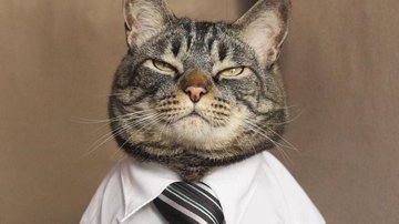 Reprodução Redes Sociais @canseidesergato