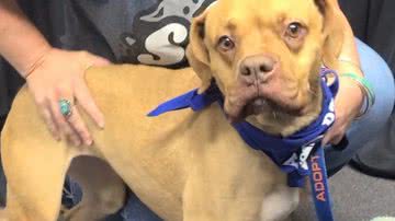 Reprodução / Facebook