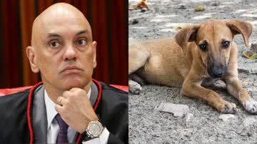 Marcelo Camargo/Agência Brasil/Fabián Ramírez/Pixabay