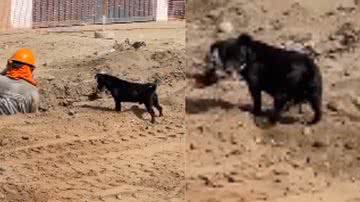 Reprodução / Instagram