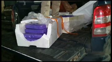 Reprodução/ Vídeo