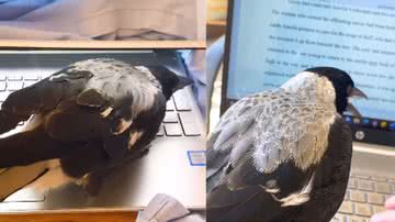 Reprodução / Instagram