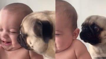 Reprodução/ Tik Tok
