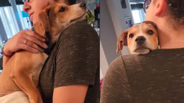 Reprodução / TikTok