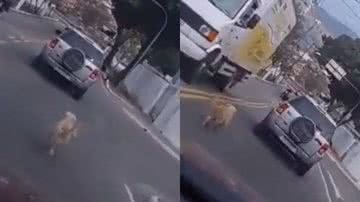 Reprodução/Redes Sociais