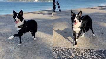 Reprodução/Instagram @meuborder