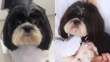 Reprodução/TikTok @olivermanoell