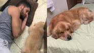 Reprodução/TikTok @jeehnetoo