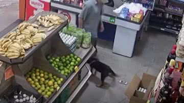 Reprodução / Vídeo