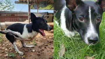 Reprodução / Instagram