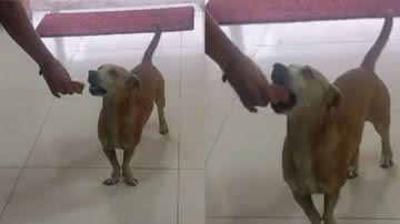 Reprodução / TikTok