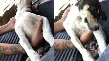 Reprodução / TikTok