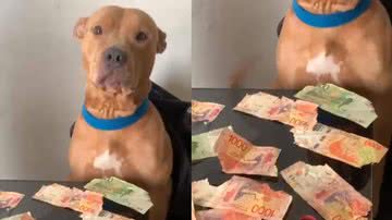 Reprodução / TikTok