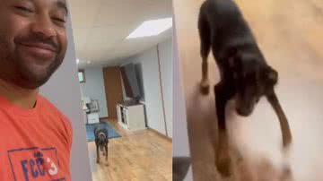 Reprodução/Instagram @doggyland.ig