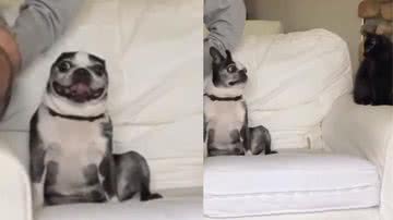 Reprodução / Instagram