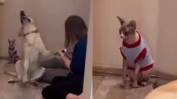 Reprodução / Instagram