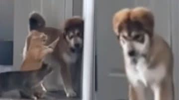 Reprodução / Instagram