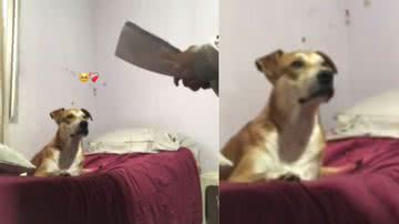 Reprodução / Instagram