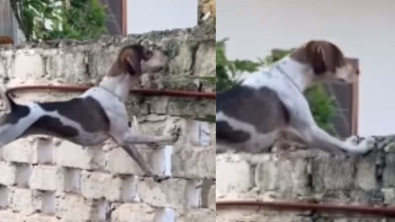 Reprodução / Instagram