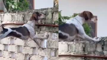 Reprodução / Instagram