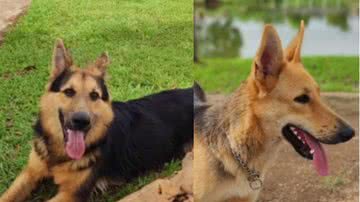 Reprodução / TikTok