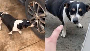 Reprodução/TikTok @danielmacedodb