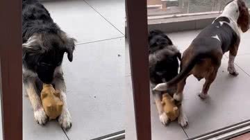 Reprodução/TikTok @lolaexploradora02