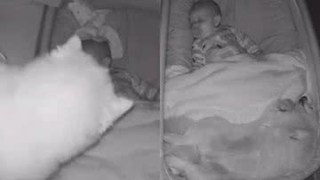 Reprodução/TikTok @amandavilasboas11