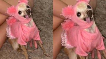 Reprodução/ Tik Tok