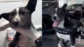 Reprodução / Tik Tok