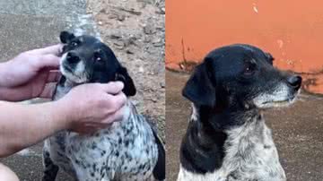 Reprodução / Instagram