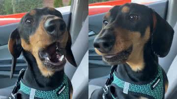 Reprodução/TikTok @kojithed.o.g