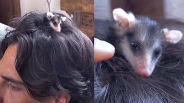 Reprodução / Instagram