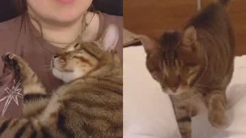 Reprodução / TikTok