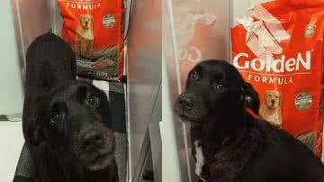 Reprodução// TikTok @jeehecadu.leeall