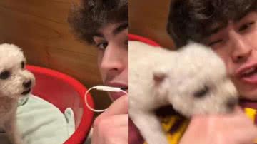 Reprodução// TikTok @m.mazzola