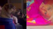 Reprodução// TikTok @dogmendonça