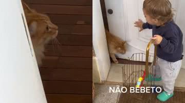 Reprodução//TikTok @camilepasquarelli
