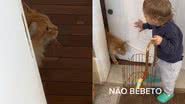 Reprodução//TikTok @camilepasquarelli