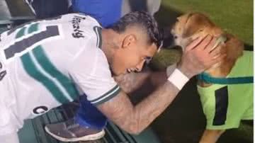 Reprodução/Instagram @tntsportsbr