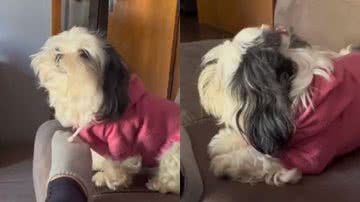 Reprodução// TikTok @eduardaspencer