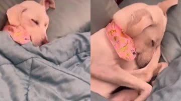 Reprodução// Instagram @thelminha