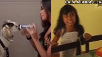 Reprodução// TikTok @sucss.s