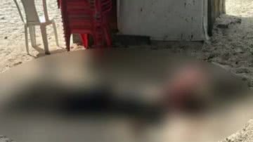 Reprodução//TV Bahia